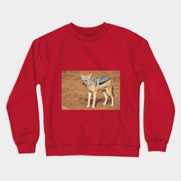 Namibia. Namib-Naukluft National Park. Sossusvlei. Jackal. Crewneck Sweatshirt by vadim19